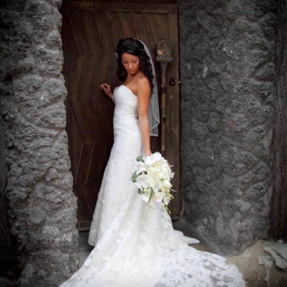 Stunning White Lace Wedding Gown - Picture 7 of 7
